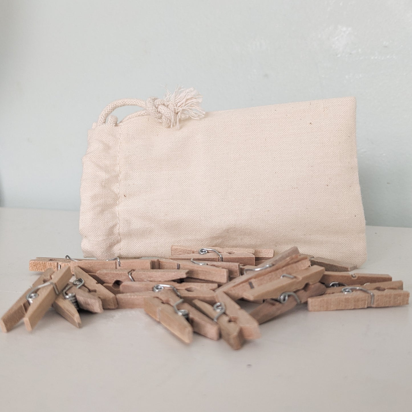 Pegs and bag